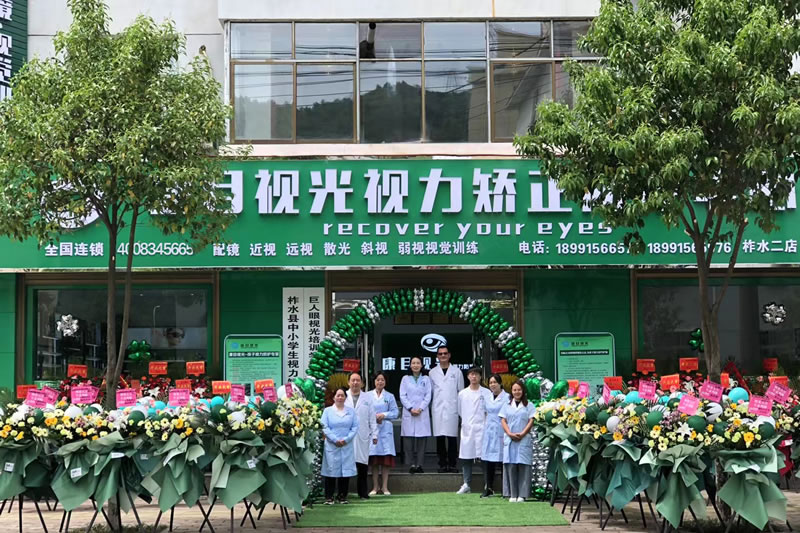 案例展示一